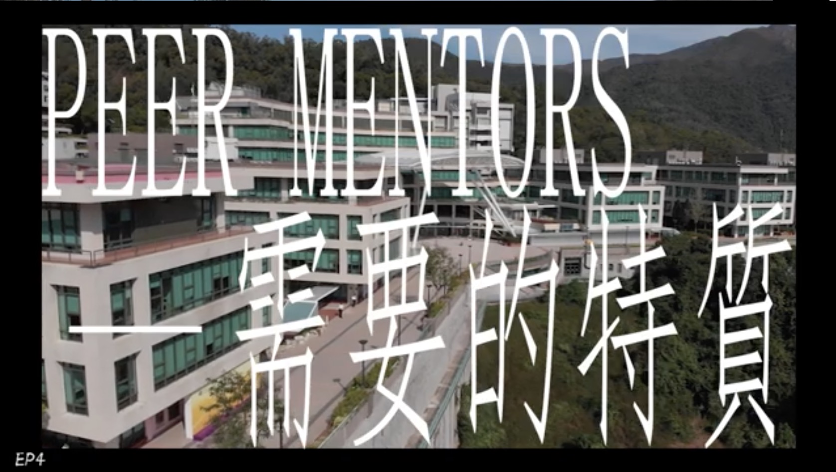 Peer Mentoring Programme