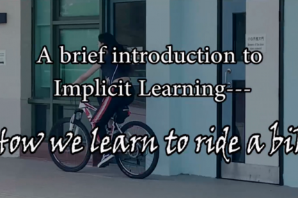 A Brief Introduction to Implicit Learning